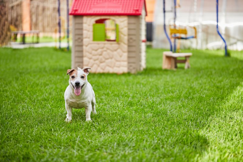 Dog Friendly Landscaping
