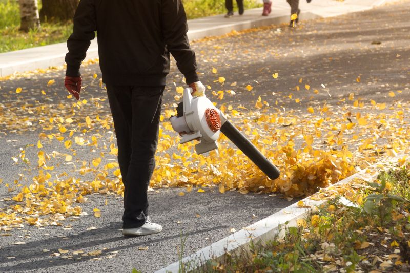 Efficient Leaf Clearing