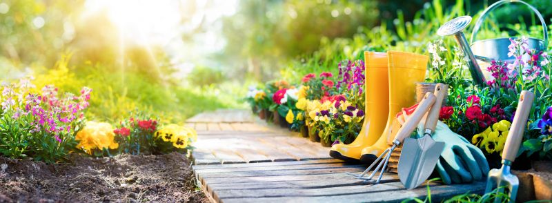 Summer Garden Maintenance