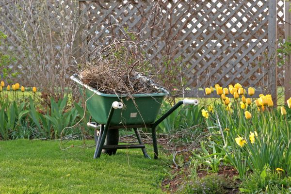 Flower Bed Cleanup Service in Bradenton