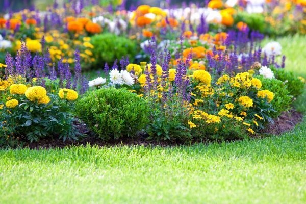 Flower Bed Maintenance in Bradenton