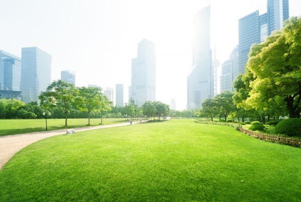 Commercial Landscape Maintenance in Bradenton