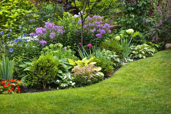 Flower Bed Service in Bradenton