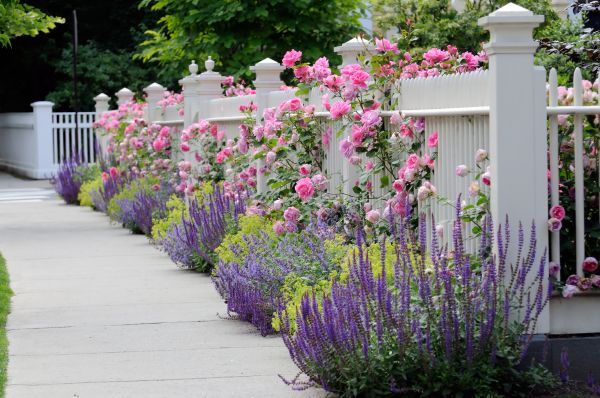 Garden Handyman Service in Bradenton