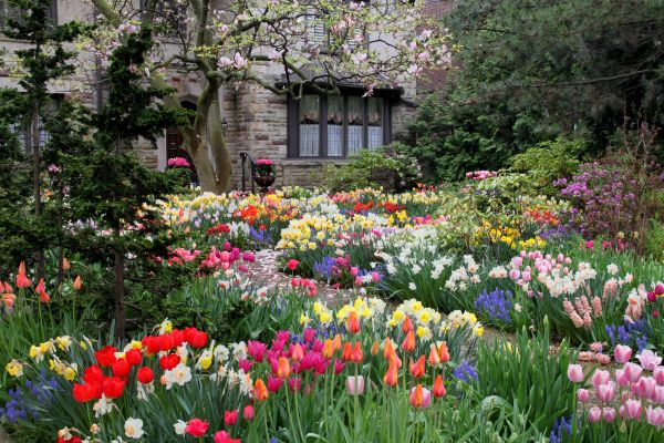 Garden Maintenance Service in Bradenton