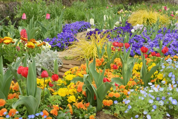 Garden Renovation in Bradenton