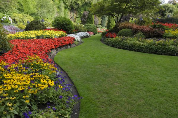 Landscaping Maintenance in Bradenton