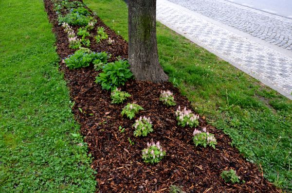 Mulch Replacement Service in Bradenton