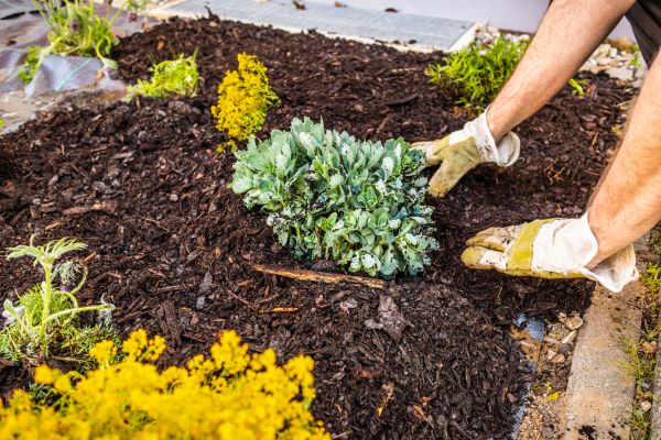 Weeding And Mulching in Bradenton