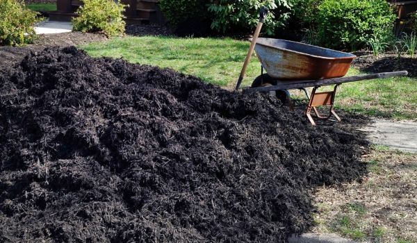 Black Mulch Delivery in Bradenton