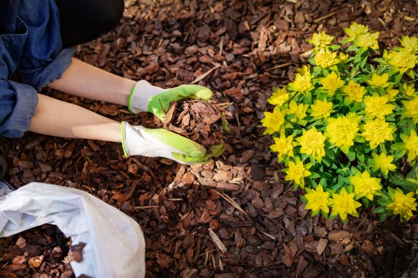 Garden Mulching in Bradenton