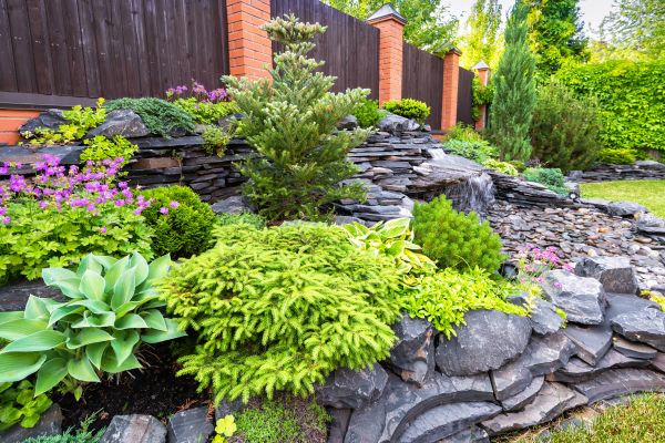 Landscape Remodeling in Bradenton