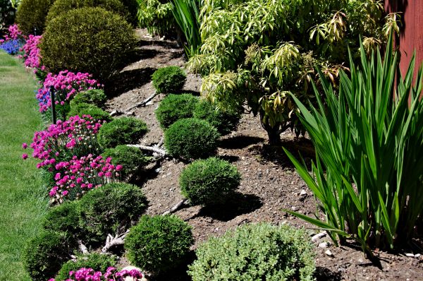 Residential Gardening in Bradenton