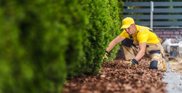 Cypress Mulch Installation in Bradenton