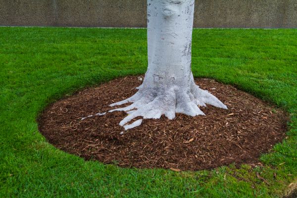 Brown Mulch Installation in Bradenton