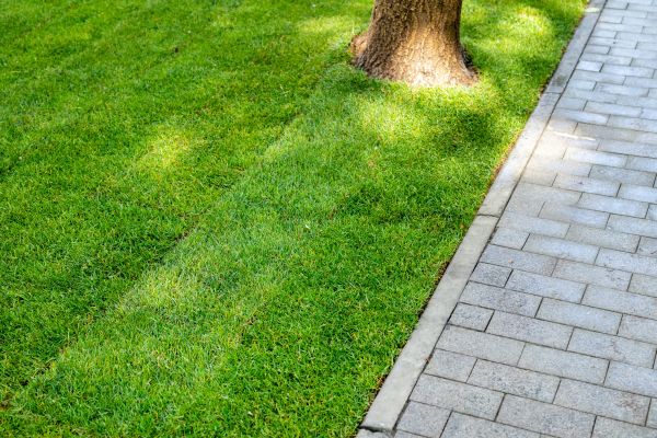 Border Stone Installation in Bradenton