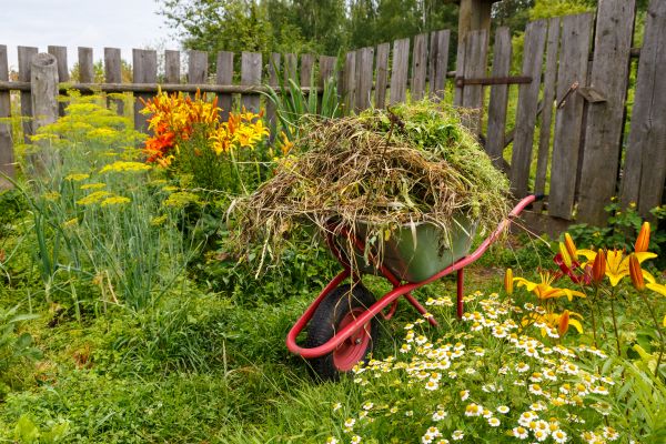 Garden Cleanup Service in Bradenton