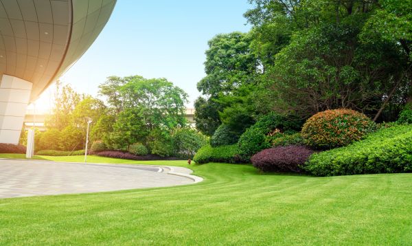 Business Landscape Design in Bradenton