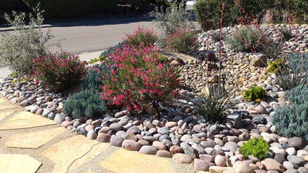 Xeriscape Landscaping in Bradenton