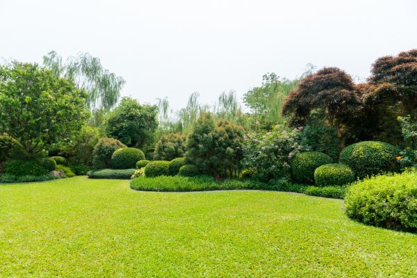 Tree Landscaping in Bradenton