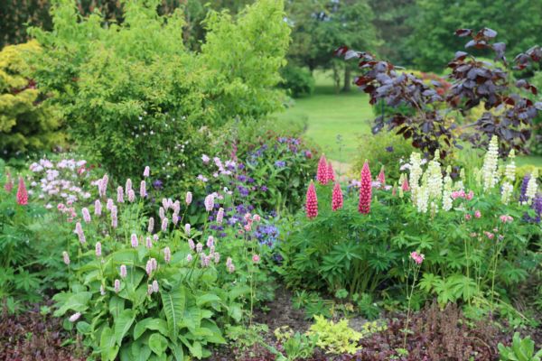 Flower Bed Planting in Bradenton