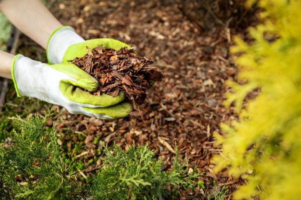 Garden Mulch Delivery in Bradenton