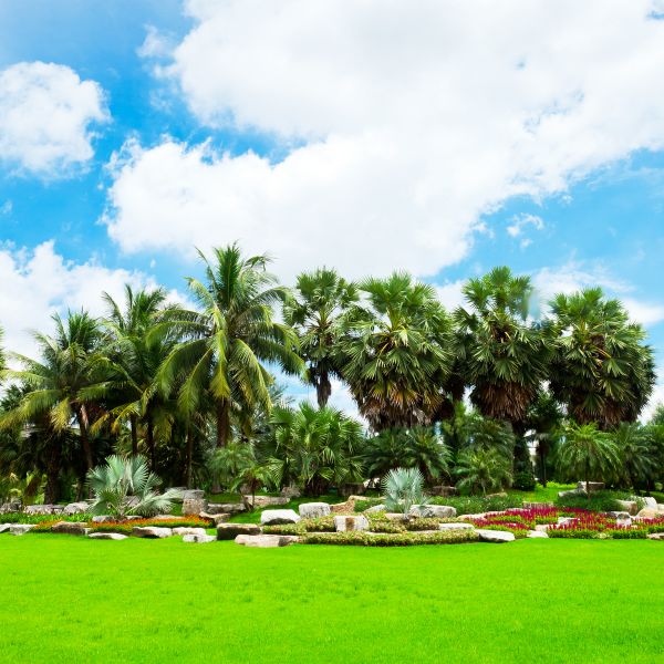 Tropical Landscaping in Bradenton