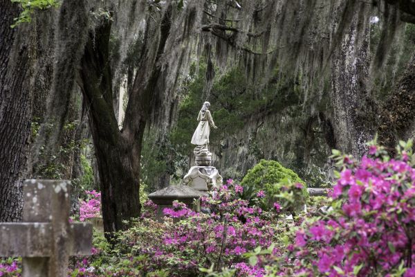 Cemetery Landscaping in Bradenton