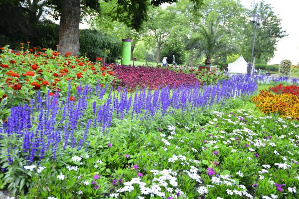 Perennials Planting in Bradenton