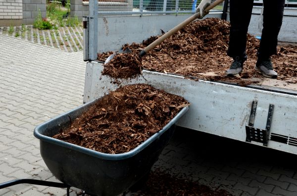 Cypress Mulch Delivery in Bradenton