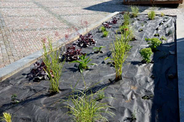 Landscape Fabric Installation in Bradenton