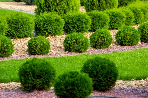 Bush Installation in Bradenton