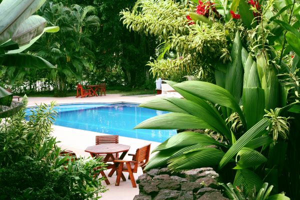 Pool Area Landscaping in Bradenton