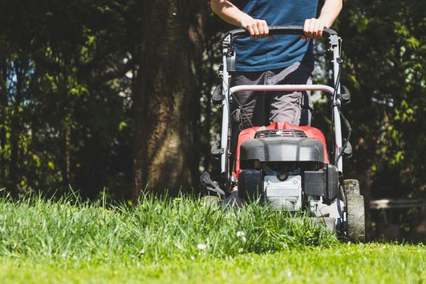 Garden Trimming Service in Bradenton