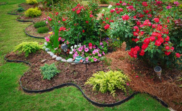 Floral Landscaping in Bradenton