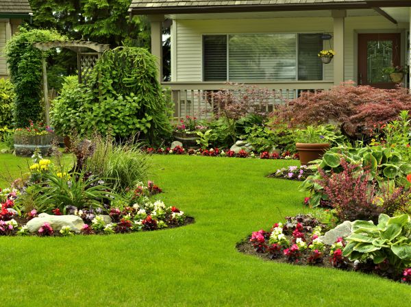 Flower Garden Planting in Bradenton