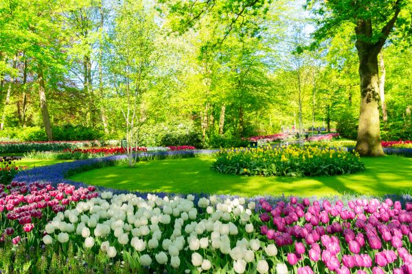 Flower Landscaping in Bradenton
