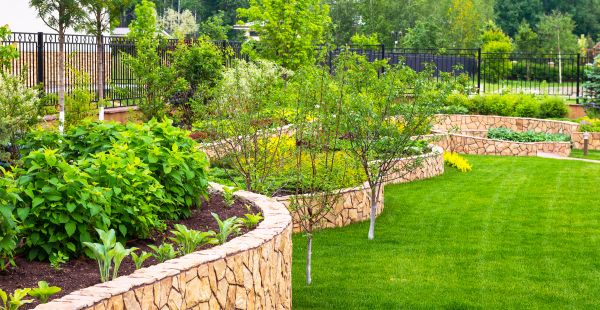 Yard Makeover Service in Bradenton