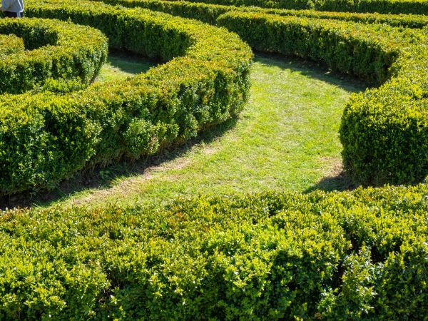 Bush Landscaping in Bradenton