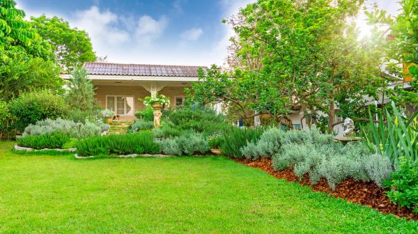 Greenery Planting in Bradenton