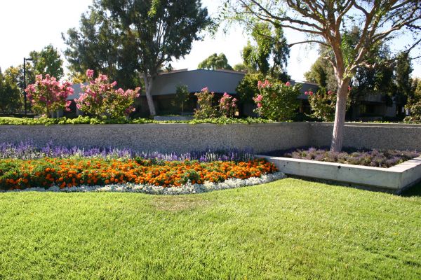 Commercial Landscape Service in Bradenton