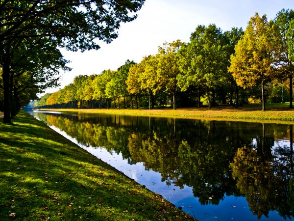 Bank Landscaping in Bradenton