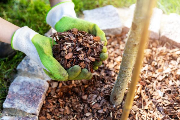 Tree Bark Delivery in Bradenton