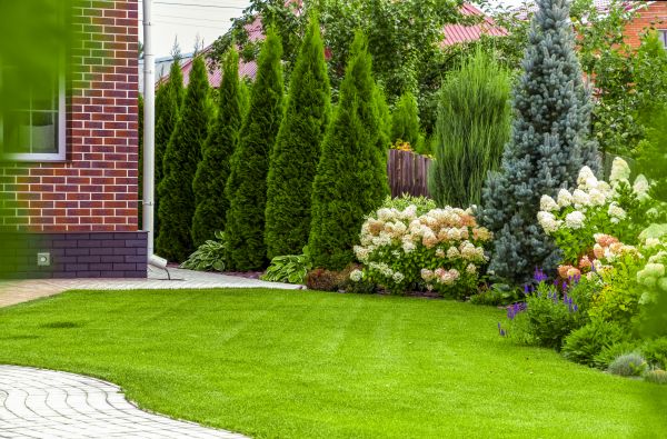 Spring Landscaping in Bradenton