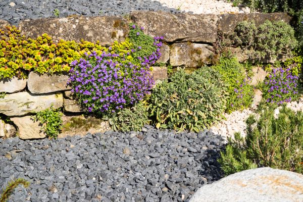 Landscaping Rocks Installation in Bradenton