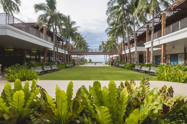 Commercial Lawn Renovation in Bradenton
