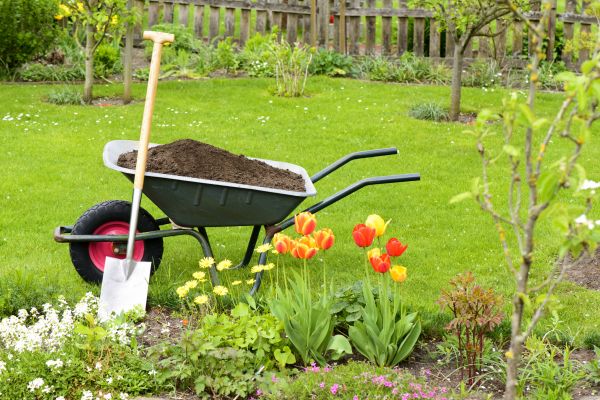 Spring Yard Renovation in Bradenton