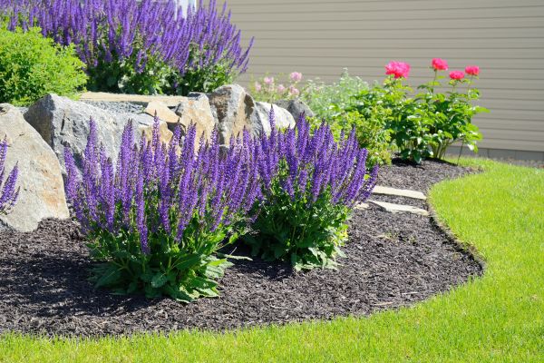 Landscape Planting Service in Bradenton