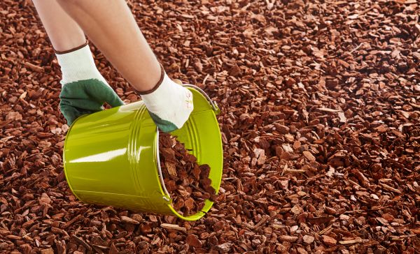 Wood Chip Landscaping in Bradenton