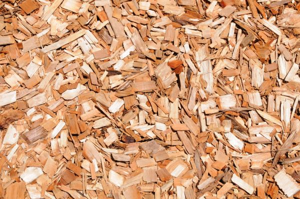 Cypress Mulch Spreading in Bradenton